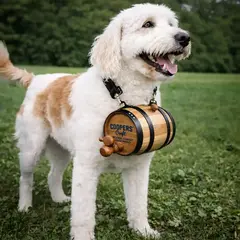 Dog wearing custom branded St. Bernard style mini oak barrel, distillery promotional product designed for logo imprint and gift shop sales