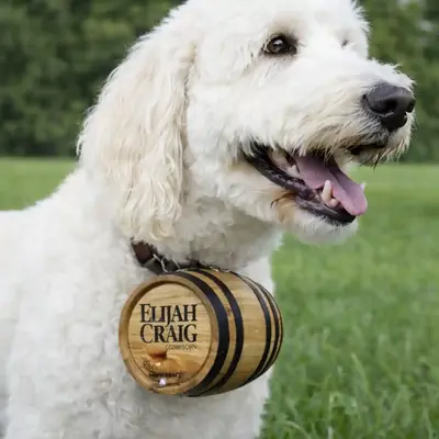 Close-up of custom logo mini oak barrel attached to dog collar, unique distillery promotional product customizable with whiskey brand imprint